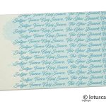 Ivory and Sky Blue Money Envelope with Sikh Gurbani