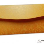 Back view of Peacocks on Orange Shimmer Texture Shagun Envelope