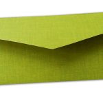 Back view of Parrot Green Shagun Envelope with Golden Leaf Printed Floral Border