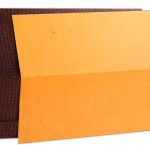 Inserts of Dark Saffron and Brown Shimmer Invitation