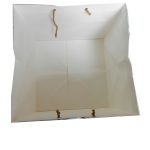 Inside view of Ivory Metallic Paper Gift Bag