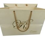 Front view of Ivory Gift Bag in Pearl Finish