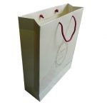 Side view of Gift Bag in Shimmer Finish Ivory